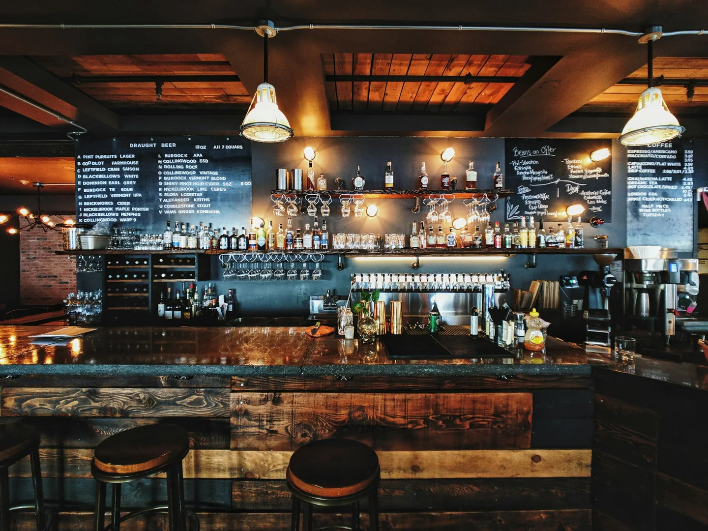 Warme bartoog in een café